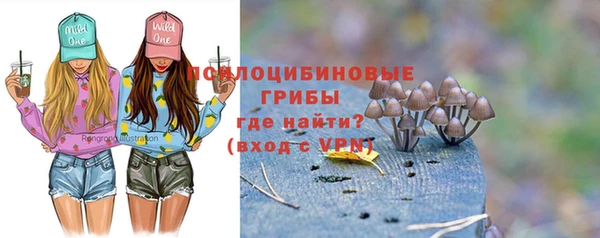 прущий лед Арсеньев