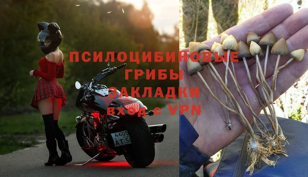 прущий лед Арсеньев