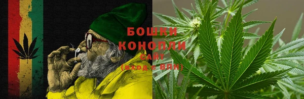индика Чекалин