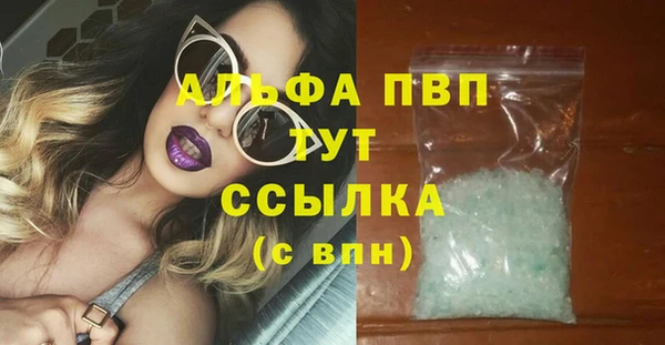 PSILOCYBIN Аркадак