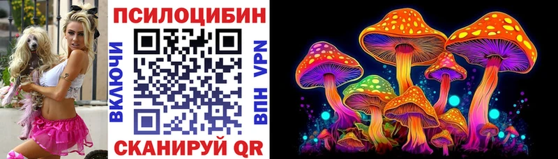 Галлюциногенные грибы Psilocybe Рубцовск