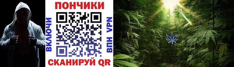 где продают   Рубцовск  Марихуана Amnesia 